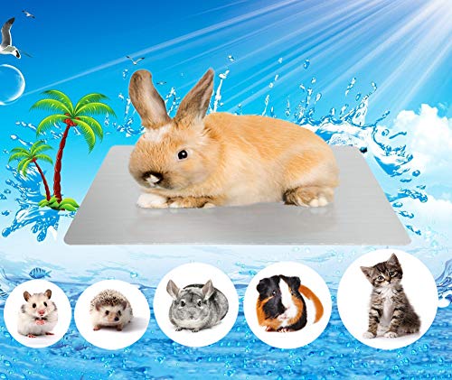 Comtim Kaninchen Kühlmatte, selbstkühlende Matte Pad für Hamster, Meerschweinchen, Chinchilla, Hase, Kätzchen, Katze und andere Kleintiere, schnelle Kühlung – perfekt für heißes Sommerwetter, M von Comtim