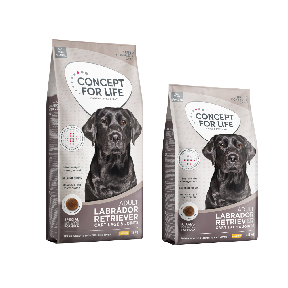 1,5 kg gratis! 13 ,5 kg Concept for Life  - Labrador Retriever Adult von Concept for Life