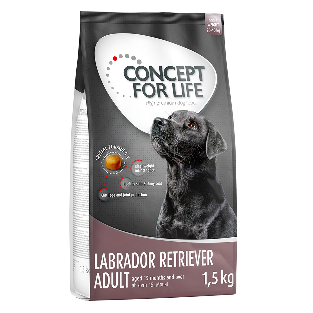 1 kg / 1,5 kg Concept for Life zum Probierpreis! - 1.5 kg Labrador Retriever von Concept for Life