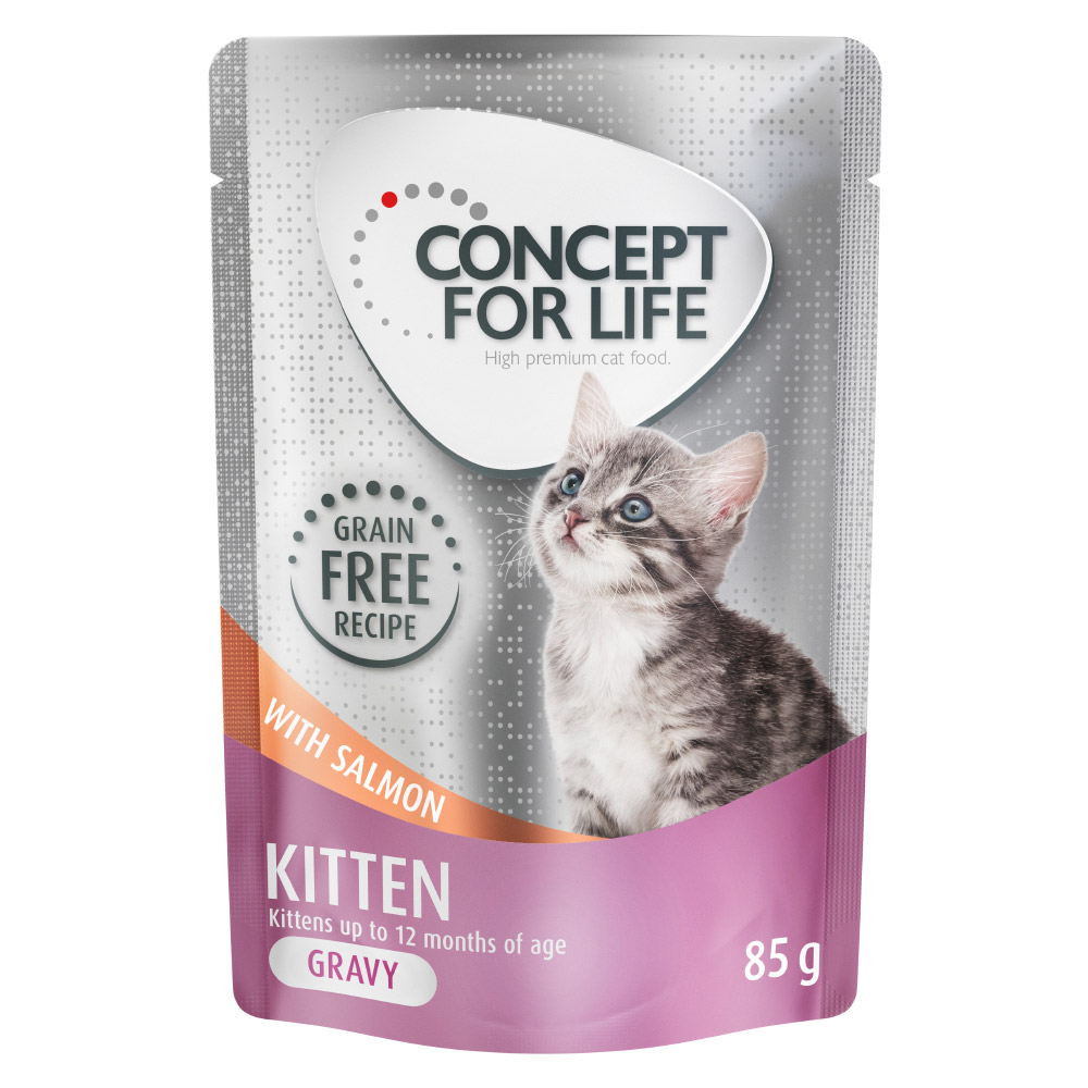 12 x 85 g Concept for Life getreidefrei zum Sonderpreis! - Kitten Lachs - in Soße von Concept for Life