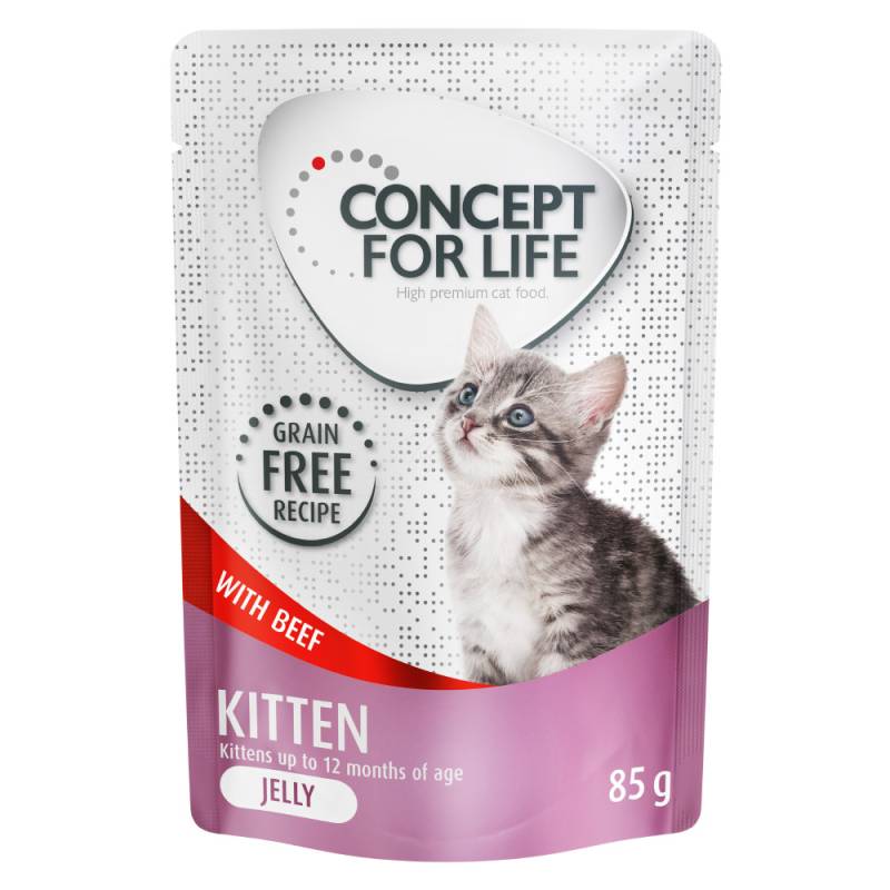 12 x 85 g Concept for Life getreidefrei zum Sonderpreis! - Kitten Rind - in Gelee von Concept for Life