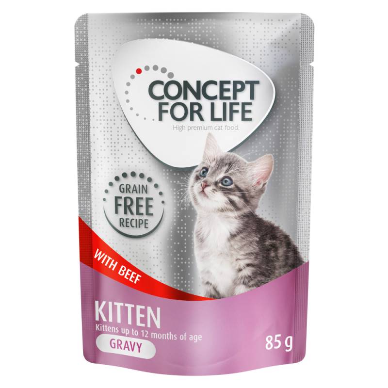 12 x 85 g Concept for Life getreidefrei zum Sonderpreis! - Kitten Rind - in Soße von Concept for Life