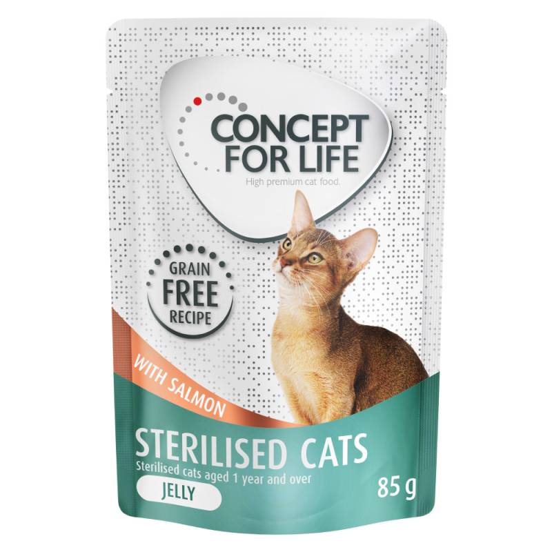 12 x 85 g Concept for Life getreidefrei zum Sonderpreis! - Sterilised Cats Lachs - in Gelee von Concept for Life