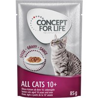 Concept for Life All Cats 10+ - in Soße - 48 x 85 g von Concept for Life