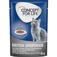 Concept for Life British Shorthair Adult (Ragout-Qualität) - 12 x 85 g von Concept for Life