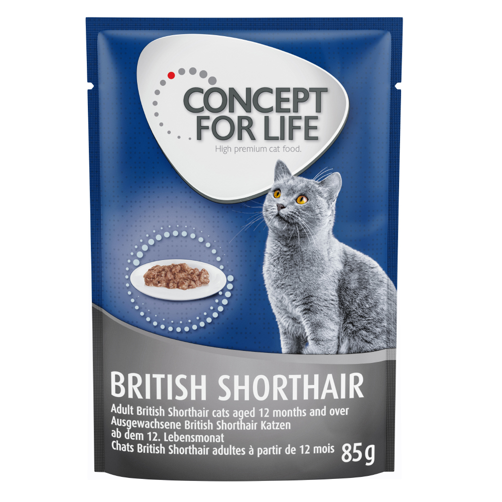 Concept for Life British Shorthair Adult (Ragout-Qualität) - Sparpaket: 24 x 85 g von Concept for Life