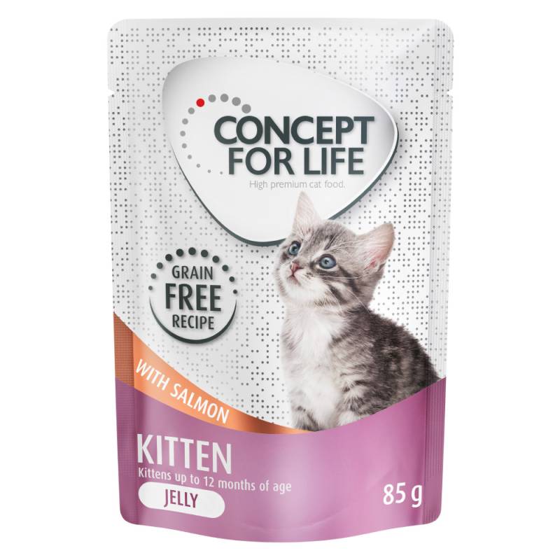 Concept for Life Kitten Lachs getreidefrei - in Gelee - Sparpaket: 48 x 85 g von Concept for Life