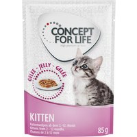 Concept for Life Kitten - in Gelee - 48 x 85 g von Concept for Life