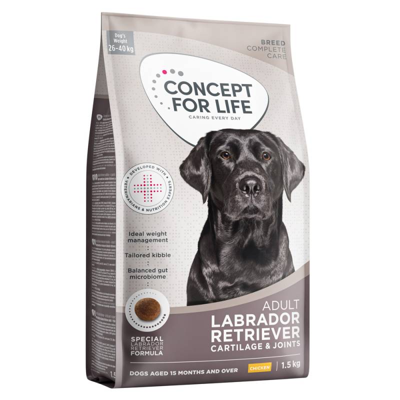 Concept for Life Labrador Retriever Adult - NEU Sparpaket 4 x 1,5 kg von Concept for Life