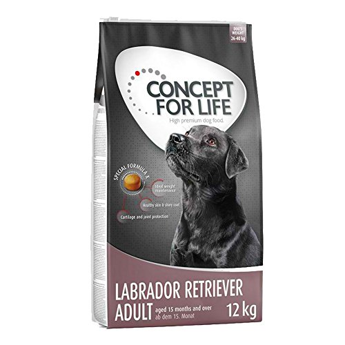 Concept for Life Labrador Retriever Premium Trockenfutter für ausgewachsene Hunde, 12 kg von Concept for Life