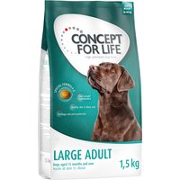 Concept for Life Large Adult - 4 x 1,5 kg von Concept for Life