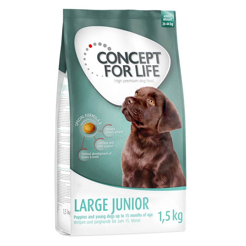 Concept for Life Large Junior - 1,5 kg von Concept for Life