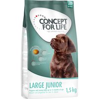 Concept for Life Large Junior - 4 x 1,5 kg von Concept for Life