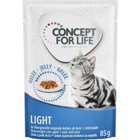 Concept for Life Light - in Gelee - 12 x 85 g von Concept for Life
