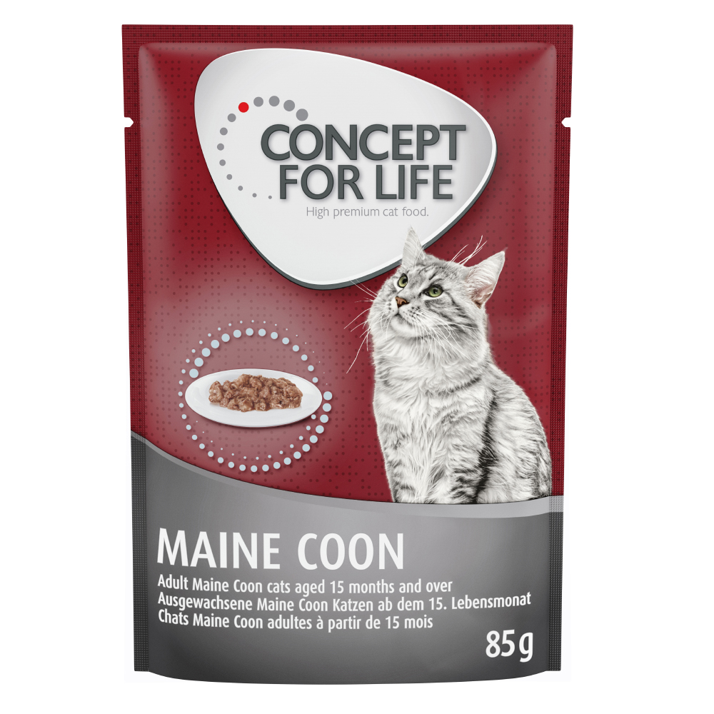 Concept for Life Maine Coon Adult (Ragout-Qualität) - Sparpaket: 24 x 85 g von Concept for Life