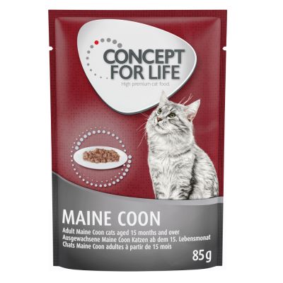 Concept for Life Maine Coon Adult (Ragout-Qualität) - Sparpaket: 48 x 85 g von Concept for Life