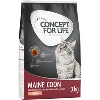 Concept for Life Maine Coon Adult Lachs - getreidefreie Rezeptur! - 3 x 3 kg von Concept for Life