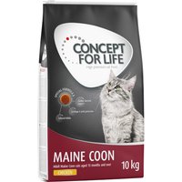 Concept for Life Maine Coon Adult - Verbesserte Rezeptur! - 10 kg von Concept for Life