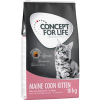 Concept for Life Maine Coon Kitten - Verbesserte Rezeptur! - 2 x 10 kg von Concept for Life