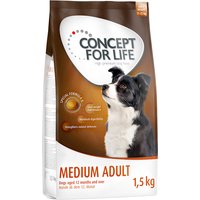 Concept for Life Medium Adult - 4 x 1,5 kg von Concept for Life