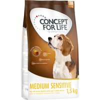 Concept for Life Medium Sensitive - 4 x 1,5 kg von Concept for Life