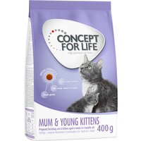 Concept for Life Mum & Young Kittens - 400 g von Concept for Life