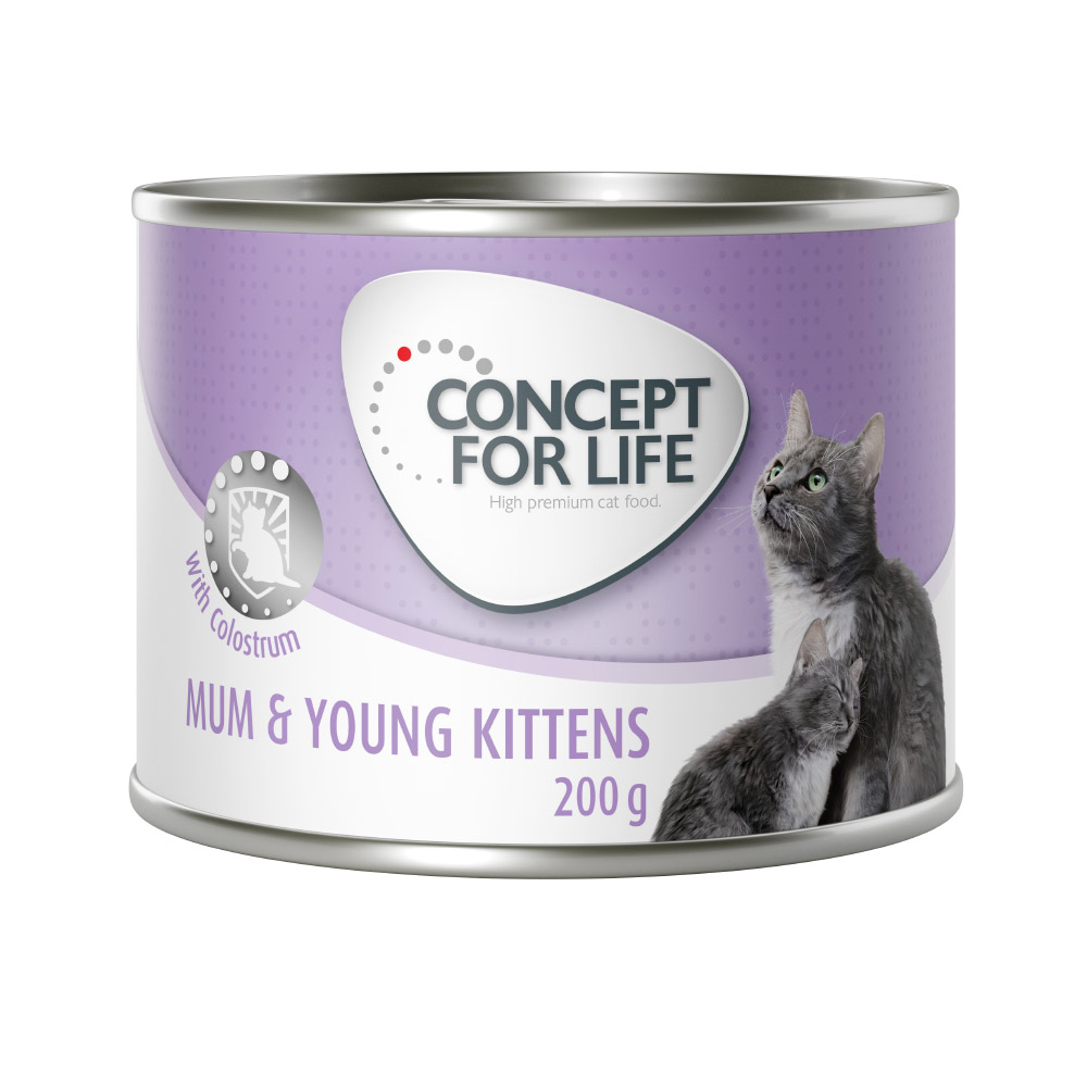 Concept for Life Mum & Young Kittens Mousse - Sparpaket: 24 x 200 g Concept for Life Mum & Young Kittens Mousse - Sparpaket: 24 x 200 g von Concept for Life