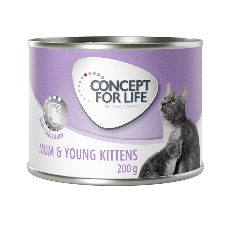 Concept for Life Mum & Young Kittens Mousse - Sparpaket: 24 x 200 g von Concept for Life