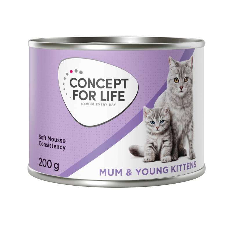 Concept for Life Mum & Young Kittens Mousse - NEU: Sparpaket 24 x 200 g von Concept for Life