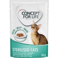 Concept for Life Sterilised Cats - in Gelee - 48 x 85 g von Concept for Life