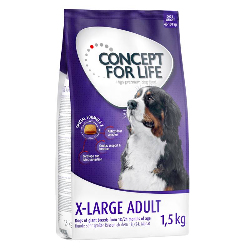 Concept for Life X-Large Adult - Sparpaket: 4 x 1,5 kg von Concept for Life