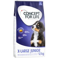Concept for Life X-Large Junior - 2 x 12 kg von Concept for Life