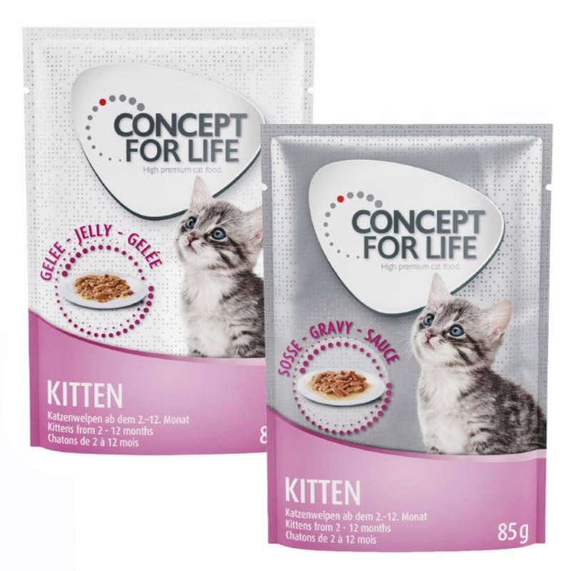 Gemischtes Sparpaket Concept for Life Gelee & Soße 24 x 85 g  - Kitten in Soße und Gelee           von Concept for Life