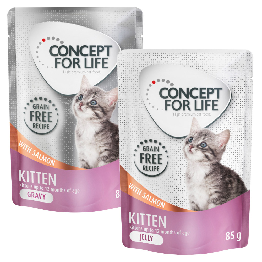 Gemischtes Sparpaket Concept for Life getreidefrei Gelee & Soße 24 x 85 g - Kitten Lachs - in Soße und Gelee Gemischtes Sparpaket Concept for Life getreidefrei Gelee & Soße 24 x 85 g - Kitten Lachs - in Soße und Gelee von Concept for Life