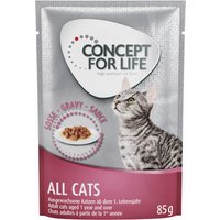Probierpaket Concept for Life 12 x 85 g - All Cats in Soße von Concept for Life