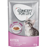 Probierpaket Concept for Life 12 x 85 g - Kitten in Soße von Concept for Life