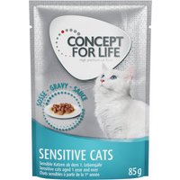 Probierpaket Concept for Life 12 x 85 g - Sensitive Cats in Soße von Concept for Life