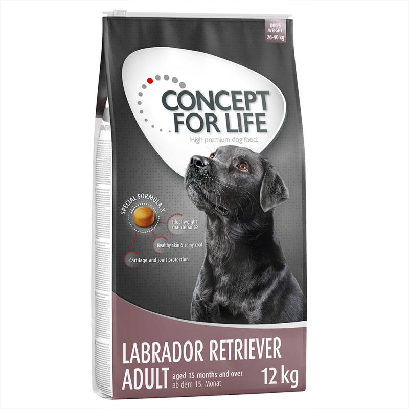 Sparpaket Concept for Life 2 x Großgebinde - Labrador Retriever Adult (2 x 12 kg) von Concept for Life