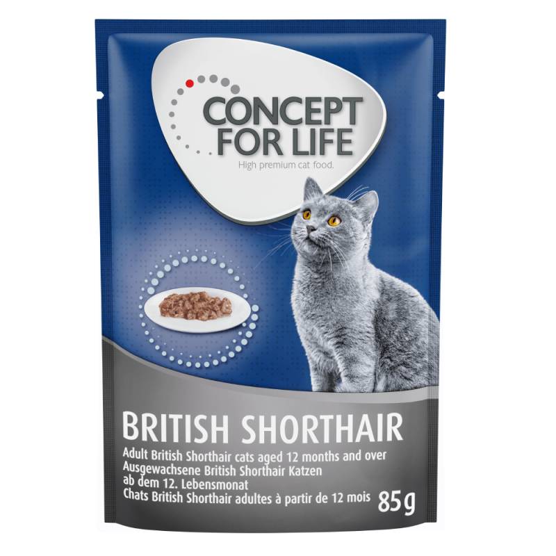 Sparpaket Concept for Life 48 x 85 g - British Shorthair Adult (Ragout-Qualität) von Concept for Life