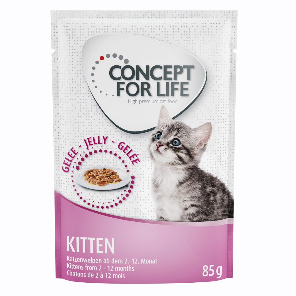 Sparpaket Concept for Life 48 x 85 g -  Kitten in Gelee                       von Concept for Life