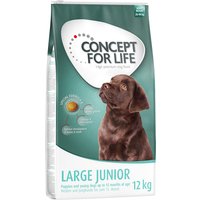 Sparpaket Concept for Life Hundefutter - Large Junior (2 x 12 kg) von Concept for Life