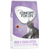 Sparpaket Concept for Life - Mum & Young Kittens (2 x 10 kg) von Concept for Life