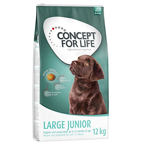 Concept for Life Large Junior Ein gesundes und ausgewogenes Hundefutter von Concept
