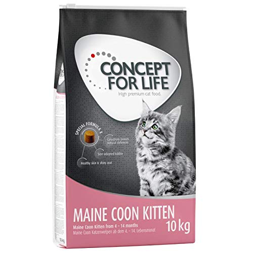 Concept for Life Maine Coon Kitten Trockenfutter für Katzen, 10 kg, für Kätzchen im Alter von 4-15 Monaten, hergestellt mit Reis mit essentiellem Taurin von Concept