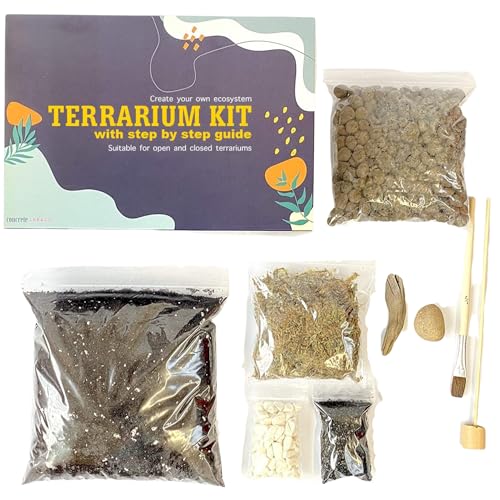 Terrarien-Kit für Sukkulenten und Kakteen mit Schritt-für-Schritt-Anleitung enthält Boden Sphagnum Moos von ConcreteLab&Co