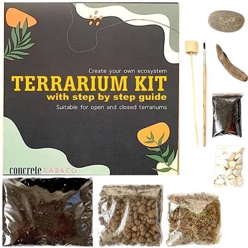 Terrarien-Kit für Sukkulenten und Kakteen mit Schritt-für-Schritt-Anleitung enthält Boden Sphagnum Moss von ConcreteLab&Co