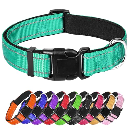 Großes Hundehalsband, reflektierendes Haustierhalsband mit Schnalle, verstellbare Sicherheits-Nylon-Halsbänder für kleine, mittelgroße und große Hunde, Blaugrün Großes Hundehalsband, reflektierendes Haustierhalsband mit Schnalle, verstellbare Sicherheits-Nylon-Halsbänder für kleine, mittelgroße und große Hunde, Blaugrün von Confvrter
