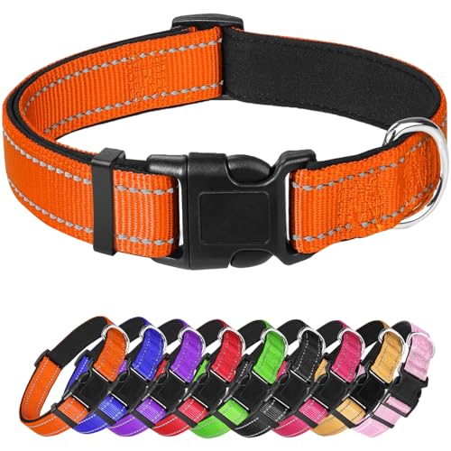 Großes Hundehalsband, reflektierendes Haustierhalsband mit Schnalle, verstellbare Sicherheits-Nylon-Halsbänder für kleine, mittelgroße und große Hunde, Orange Großes Hundehalsband, reflektierendes Haustierhalsband mit Schnalle, verstellbare Sicherheits-Nylon-Halsbänder für kleine, mittelgroße und große Hunde, Orange von Confvrter