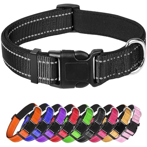 Großes Hundehalsband, reflektierendes Haustierhalsband mit Schnalle, verstellbare Sicherheits-Nylon-Halsbänder für kleine, mittelgroße und große Hunde, Schwarz Großes Hundehalsband, reflektierendes Haustierhalsband mit Schnalle, verstellbare Sicherheits-Nylon-Halsbänder für kleine, mittelgroße und große Hunde, Schwarz von Confvrter