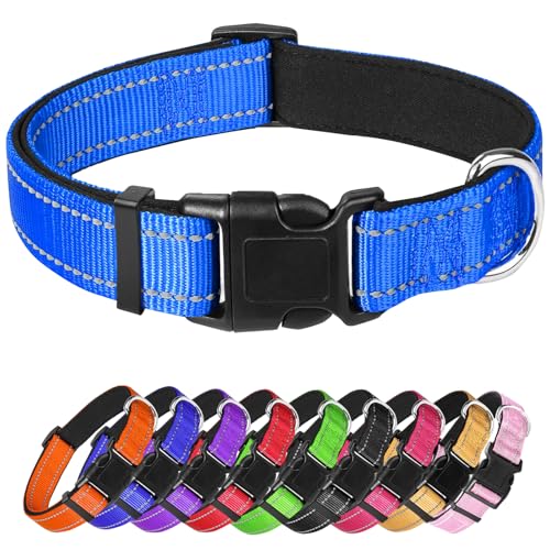 Hundehalsband für kleine Hunde, reflektierendes Haustierhalsband mit Schnalle, verstellbar, Sicherheits-Nylonhalsbänder für kleine, mittelgroße und große Hunde, Blau Hundehalsband für kleine Hunde, reflektierendes Haustierhalsband mit Schnalle, verstellbar, Sicherheits-Nylonhalsbänder für kleine, mittelgroße und große Hunde, Blau von Confvrter